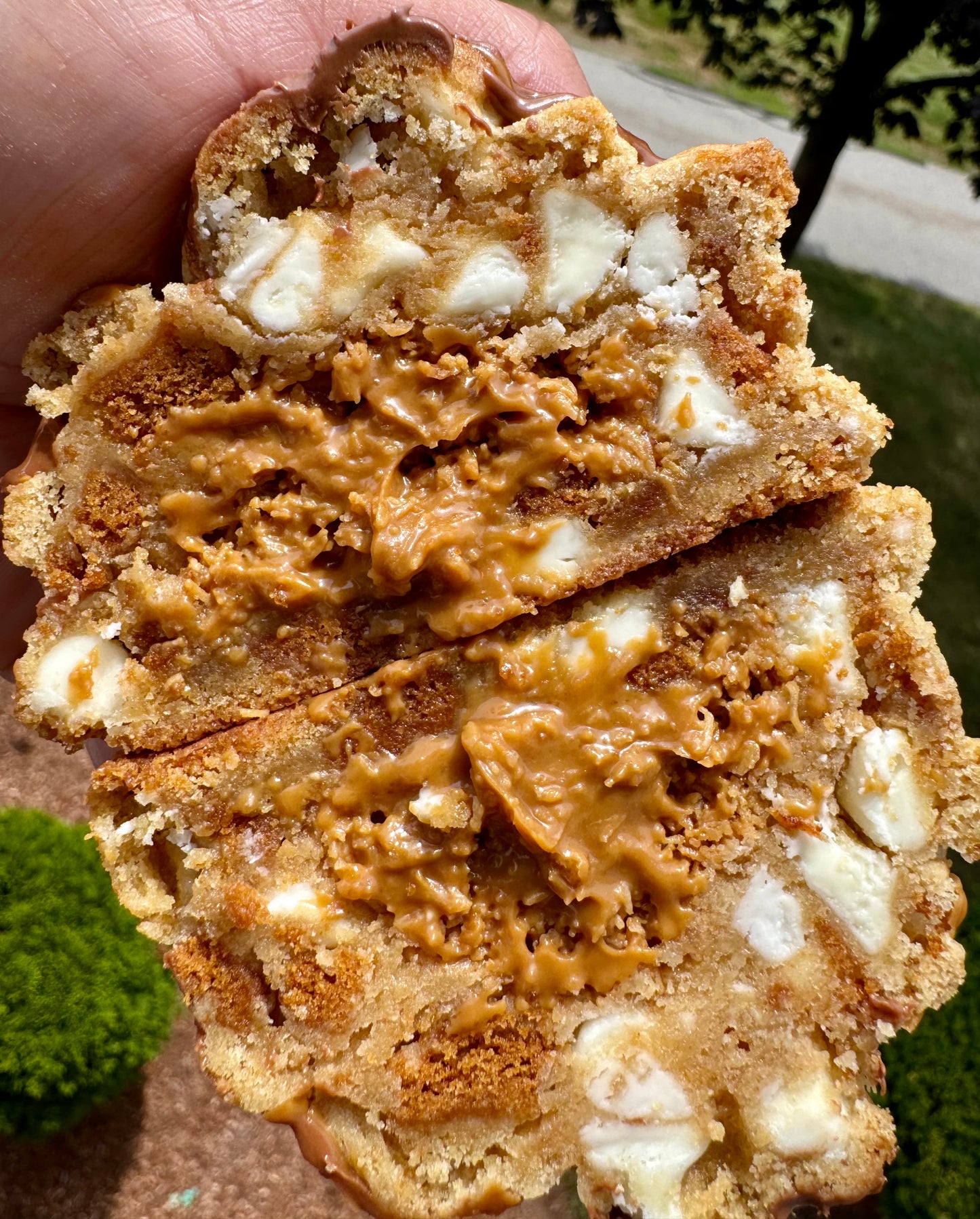 Lotus Biscoff